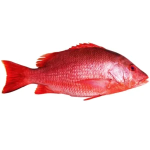 Red Fish