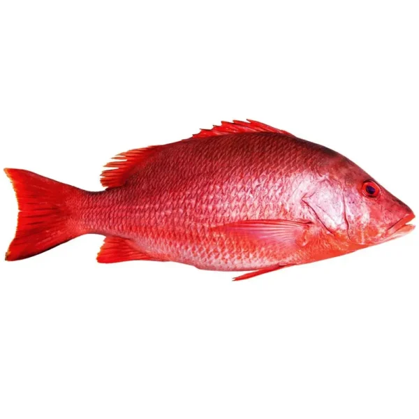 Red Fish